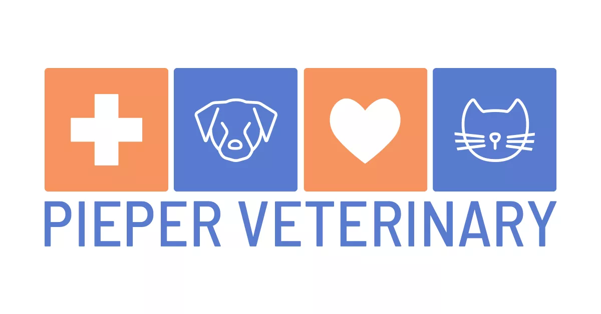 Shock in Dogs & Cats MassRI Veterinary Services